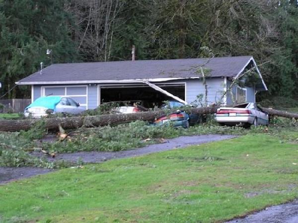 Alors, là, c'est pas de bol ! l'arbre a fait un joli strike en se renversant... Toutes les voitures touchées, c'est du joli !