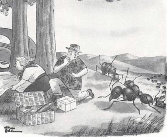 Chérie ! Vite partons ! Des fourmis nous attaquent !
Soit pas peureux, on va pas se laisser déranger par des petites bêtes !