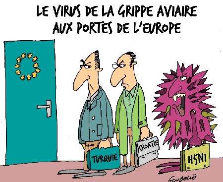 La grippe aviaire est aux portes de l'Europe, mais elle n'est pas la seule... D'autres aimeraient bien rentrer !