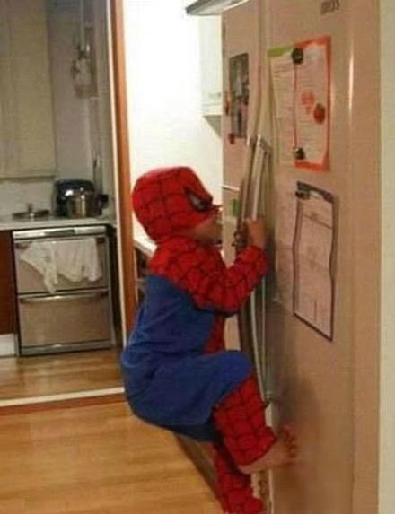 Savez-vous ce que faisait SpiderMan quand il était enfant ? Il grimpait sur les murs de la cuisine ! height=