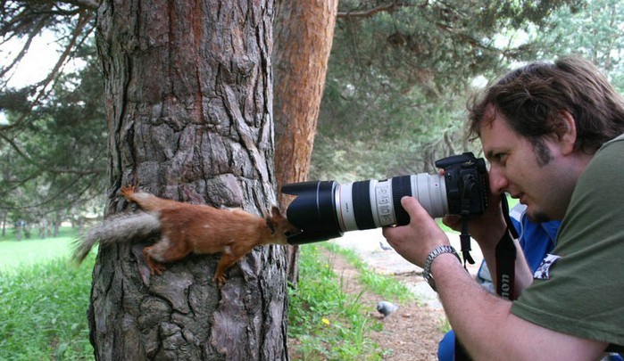 J'espère que le photographe a un bon zoom car l'écureuil me semble un poil trop près.
